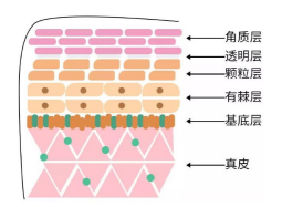 微信图片_20230510210428.png